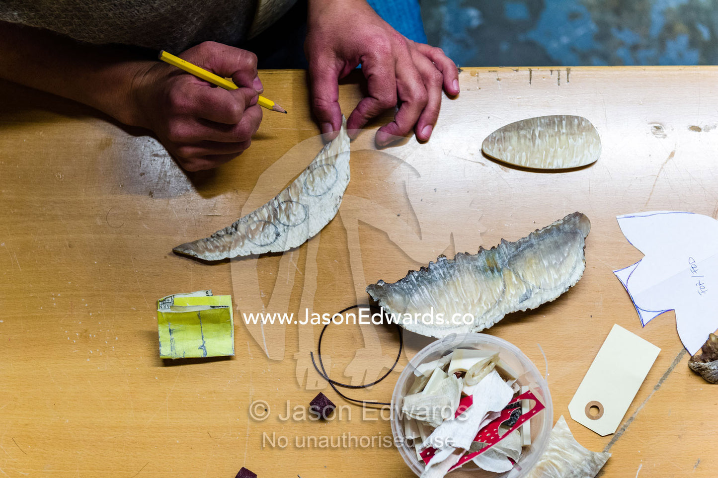 An artist carving jewelry from Musk Ox horns in her studio. Kangerlussuaq, Qeqqata Municipality, Greenland.