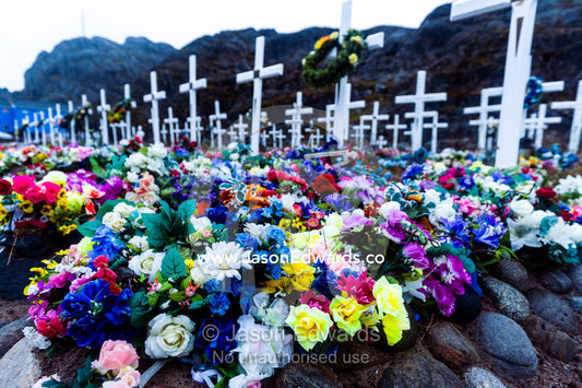 Colorful flowers on graves in a fishing village cemetery. Maniitsoq, Sukkertoppen, Qeqqata Municipality, Greenland.