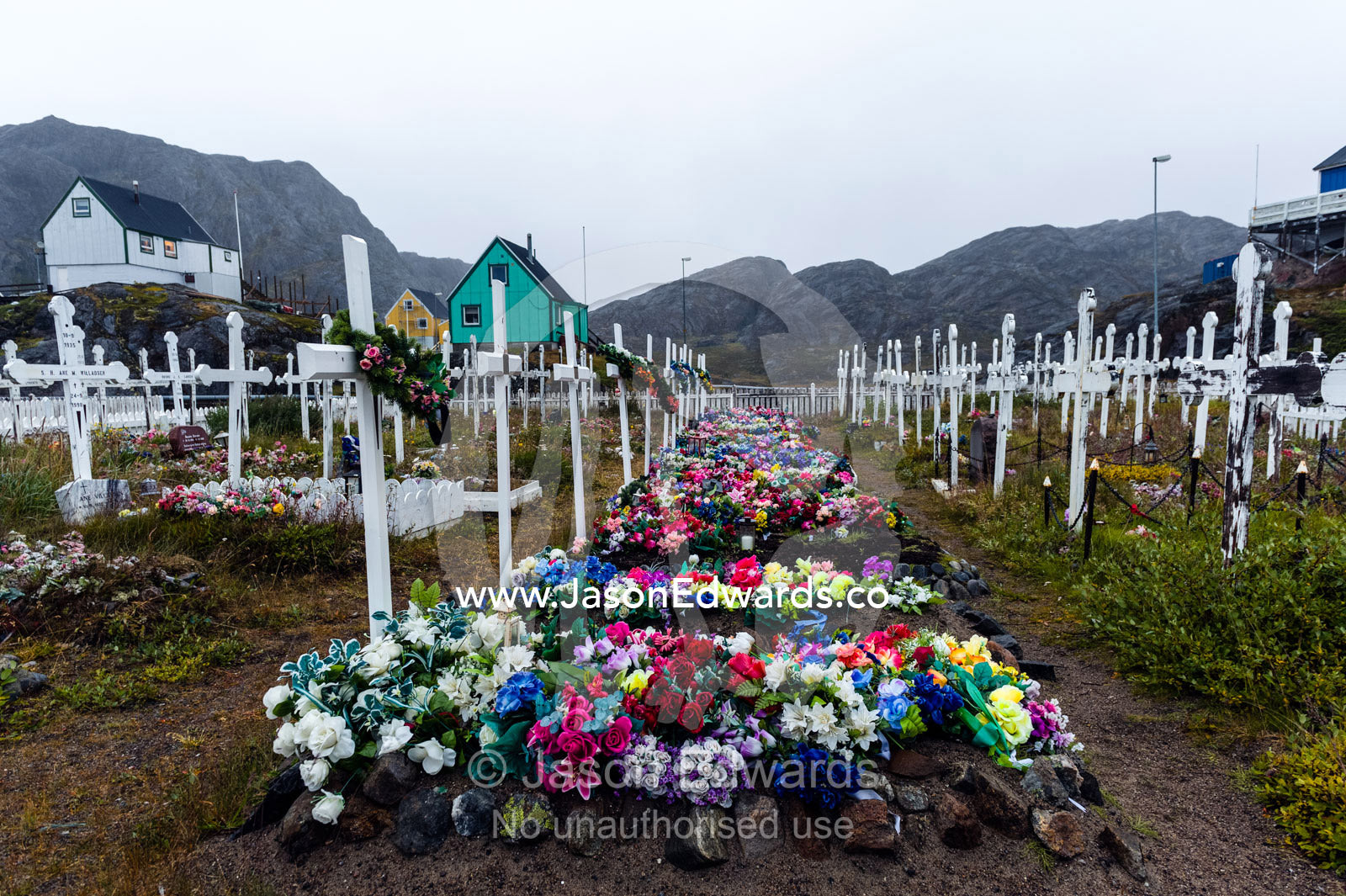 Colorful flowers on graves in a fishing village cemetery. Maniitsoq, Sukkertoppen, Qeqqata Municipality, Greenland.