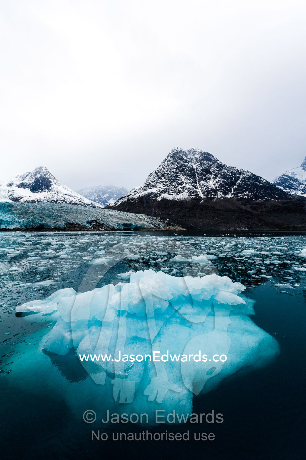 An iceberg carved from a glacier floating in the dark waters of an Arctic fjord. Fjord of Eternity, Maniitsoq, Sukkertoppen, Qeqqata Municipality, Greenland.