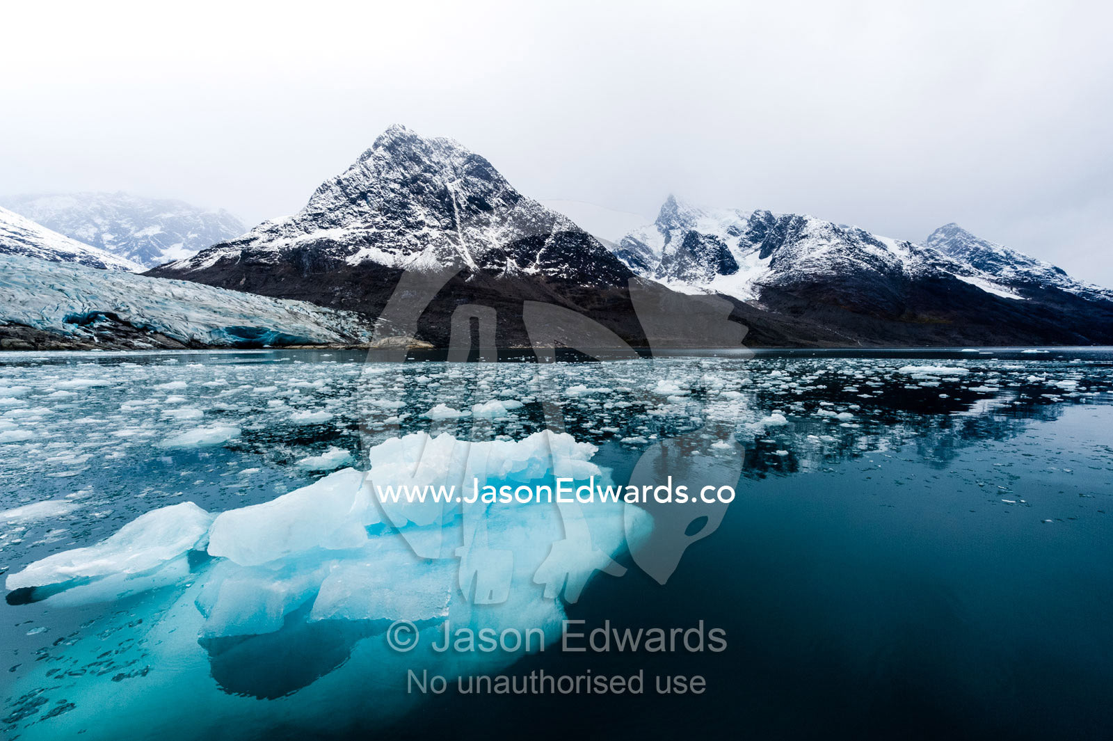 An iceberg carved from a glacier floating in the dark waters of an Arctic fjord. Fjord of Eternity, Maniitsoq, Sukkertoppen, Qeqqata Municipality, Greenland.