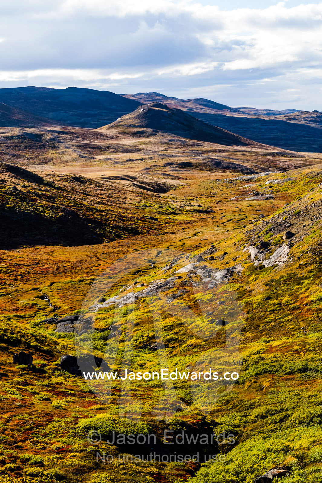 Autumn colors cover a vast tundra valley in the arctic. Ammalortup Nunaa Highland, Kangerlussuaq, Qeqqata Municipality, Greenland.