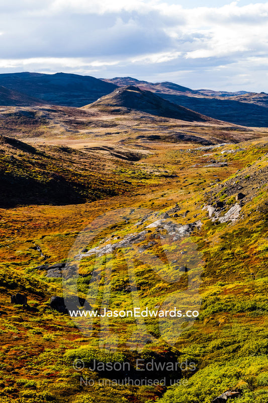Autumn colors cover a vast tundra valley in the arctic. Ammalortup Nunaa Highland, Kangerlussuaq, Qeqqata Municipality, Greenland.