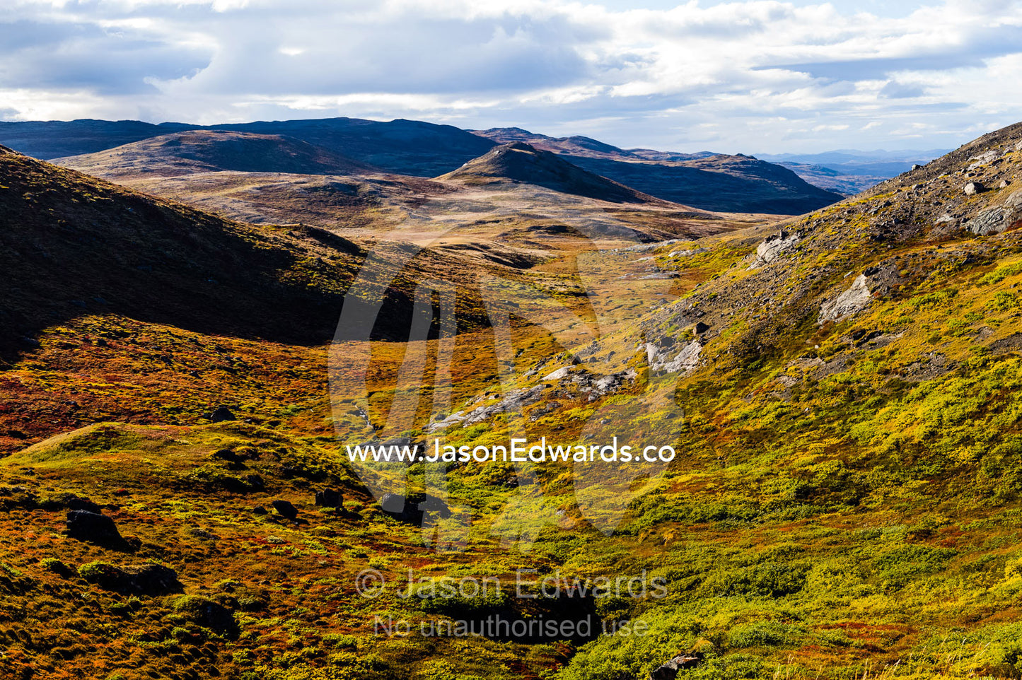 Autumn colors cover a vast tundra valley in the arctic. Ammalortup Nunaa Highland, Kangerlussuaq, Qeqqata Municipality, Greenland.