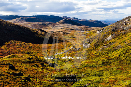 Autumn colors cover a vast tundra valley in the arctic. Ammalortup Nunaa Highland, Kangerlussuaq, Qeqqata Municipality, Greenland.