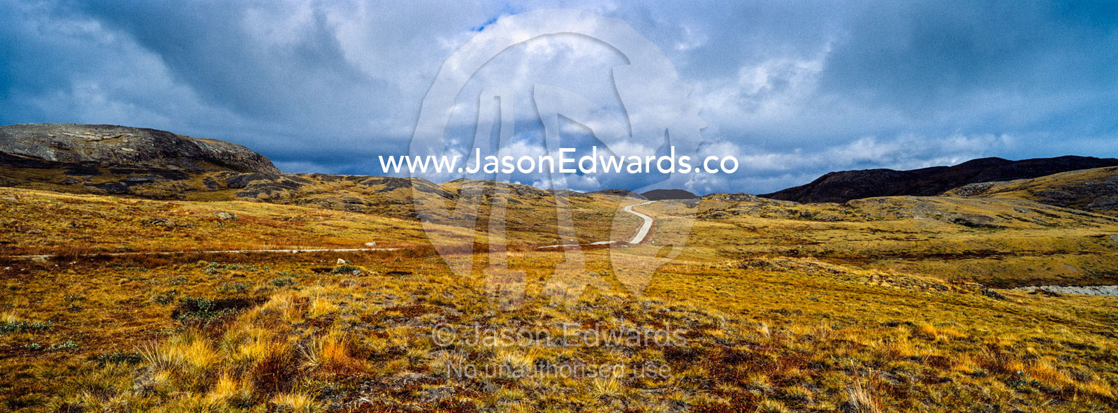 A vehicle track winds across a remote tundra hillside. Isunnguata Sermia, Kangerlussuaq, Qeqqata Municipality, Greenland.