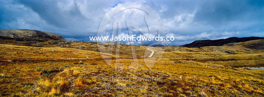 A vehicle track winds across a remote tundra hillside. Isunnguata Sermia, Kangerlussuaq, Qeqqata Municipality, Greenland.
