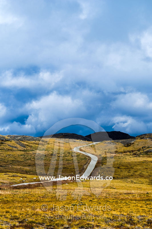 A vehicle track winds across a remote tundra hillside. Isunnguata Sermia, Kangerlussuaq, Qeqqata Municipality, Greenland.