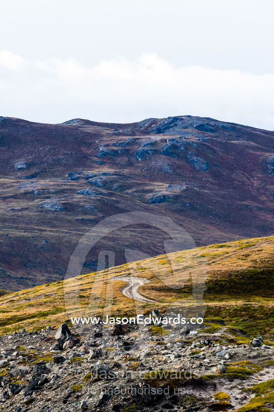 A vehicle track winds across a remote tundra hillside. Russell Glacier, Greenland Ice Sheet, Qeqqata Municipality, Kangerlussuaq, Greenland.