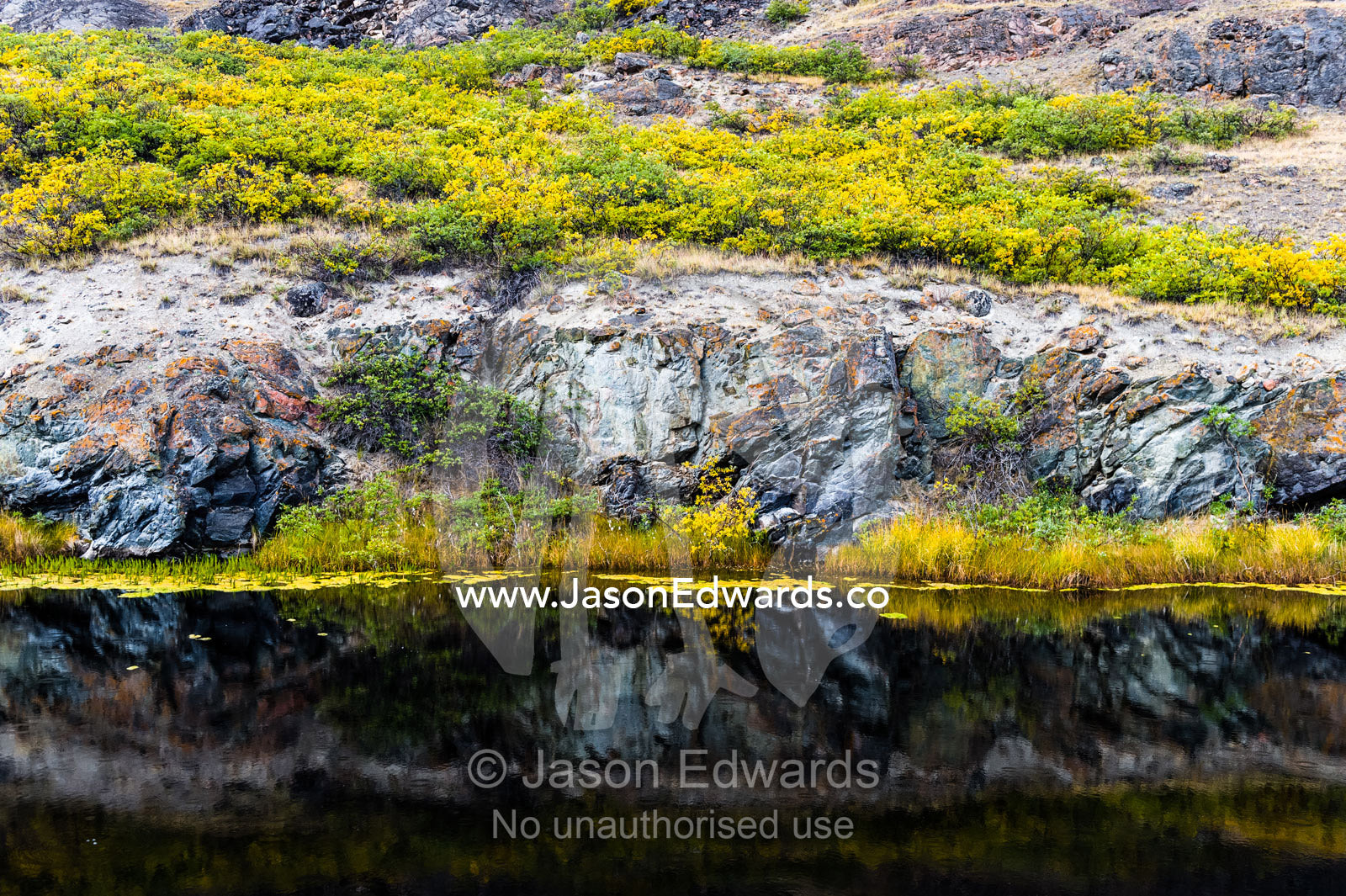 The dark waters of an alpine pond beneath a small cliff. Kangerlussuaq Fjord, Kangerlussuaq, Qeqqata Municipality, Greenland.