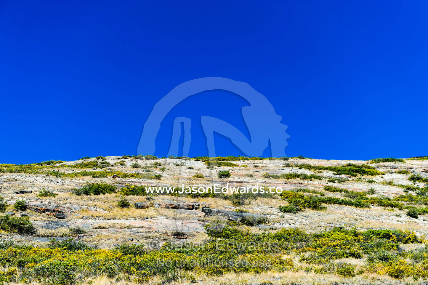A sparsely vegetated hillside in a tundra valley. Kangerlussuaq, Qeqqata Municipality, Greenland.
