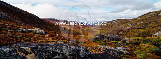 A tundra valley surrounded by rolling hills in Autumn colours. Ammalortup Nunaa Highland, Kangerlussuaq, Qeqqata Municipality, Greenland.