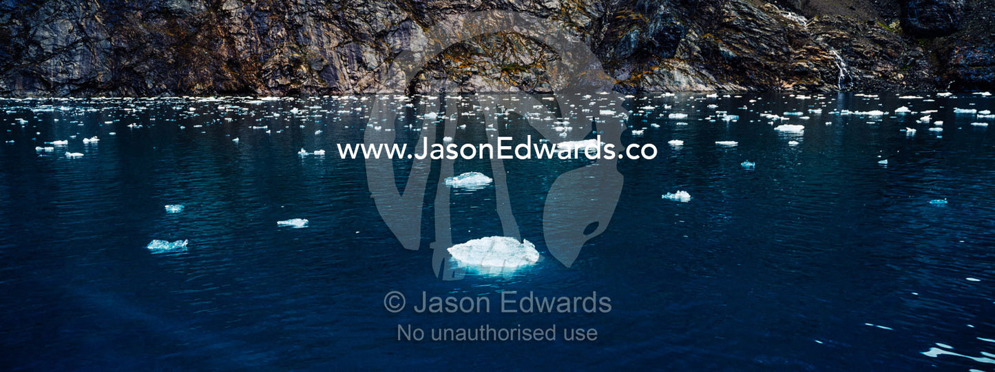Crushed ice from a glacier fall floating on the ocean surface in a fjord. Fjord of Eternity, Maniitsoq, Sukkertoppen, Qeqqata Municipality, Greenland.
