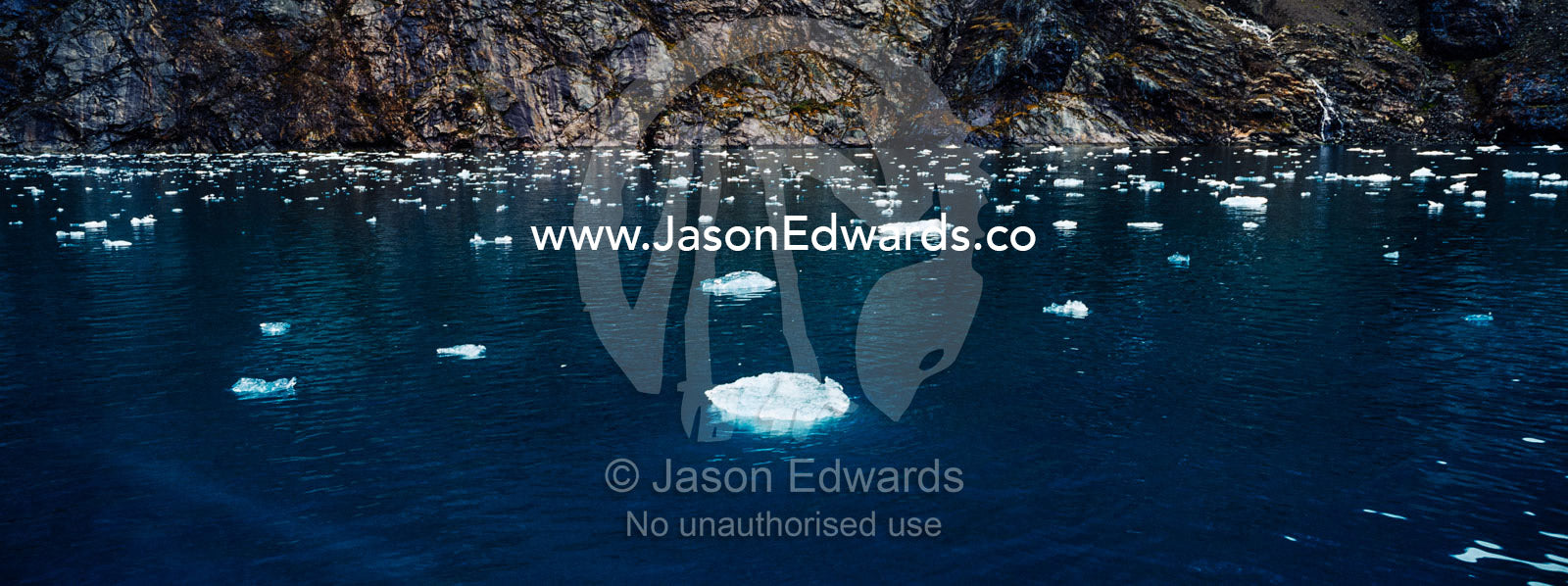 Crushed ice from a glacier fall floating on the ocean surface in a fjord. Fjord of Eternity, Maniitsoq, Sukkertoppen, Qeqqata Municipality, Greenland.