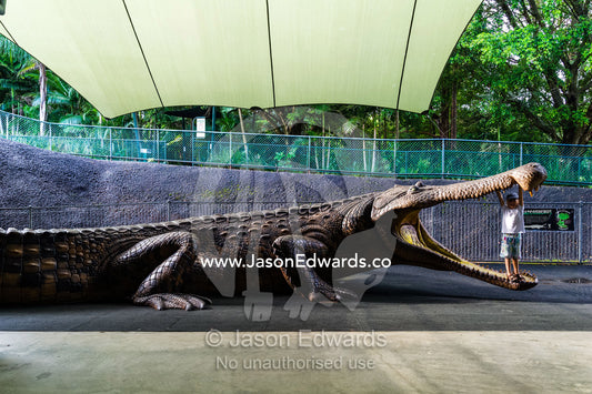 A boy stands in the enormous jaws of a life-size prehistoric Sarcosuchus crocodile sculpture. Australia Zoo, Beerwah, Sunshine Coast, Queensland, Australia.