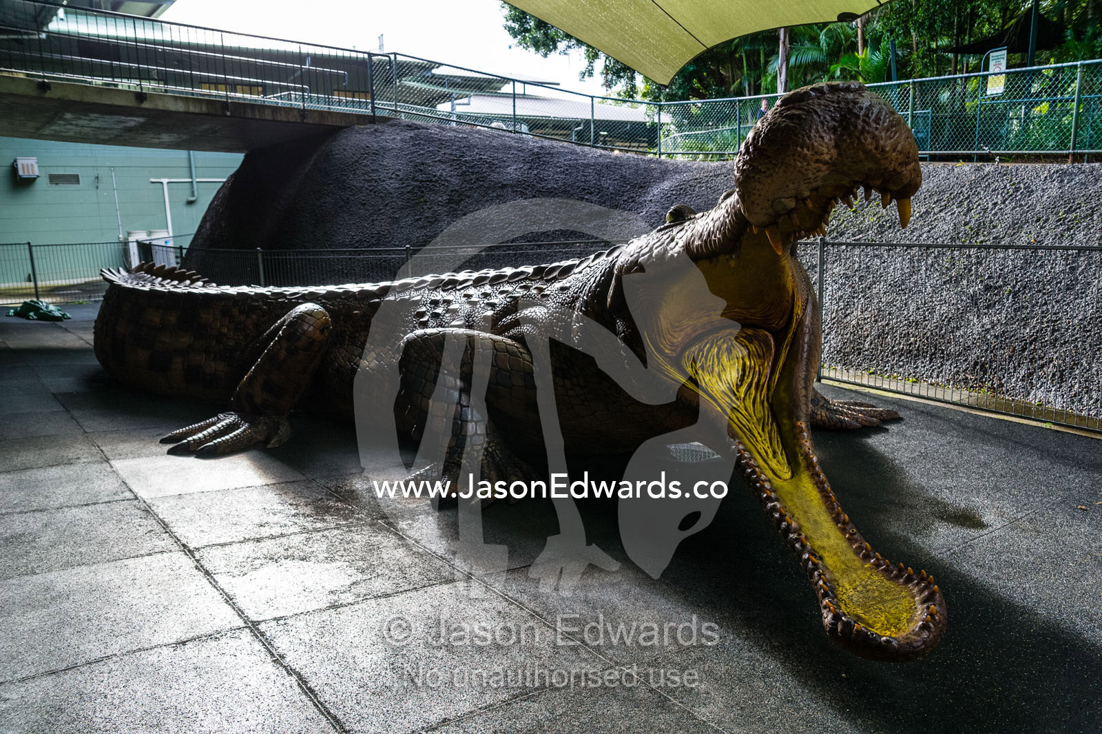 An enormous jaws of a life-size prehistoric Sarcosuchus crocodile sculpture. Australia Zoo, Beerwah, Sunshine Coast, Queensland, Australia.