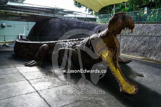 An enormous jaws of a life-size prehistoric Sarcosuchus crocodile sculpture. Australia Zoo, Beerwah, Sunshine Coast, Queensland, Australia.