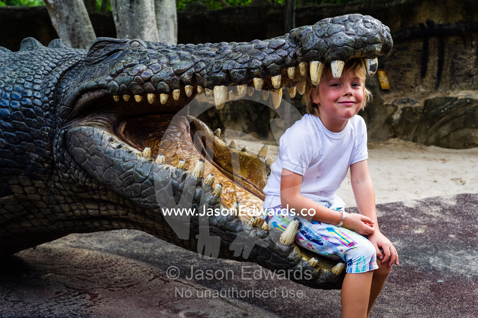 A boy sits in the enormous jaws of a life-size Saltwater Crocodile sculpture. Australia Zoo, Beerwah, Sunshine Coast, Queensland, Australia.