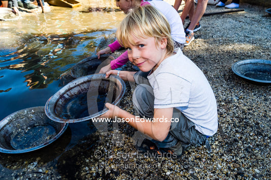 A boy pans for gold in a stream in a gold town museum. Sovereign Hill, Ballarat, Victoria, Australia.