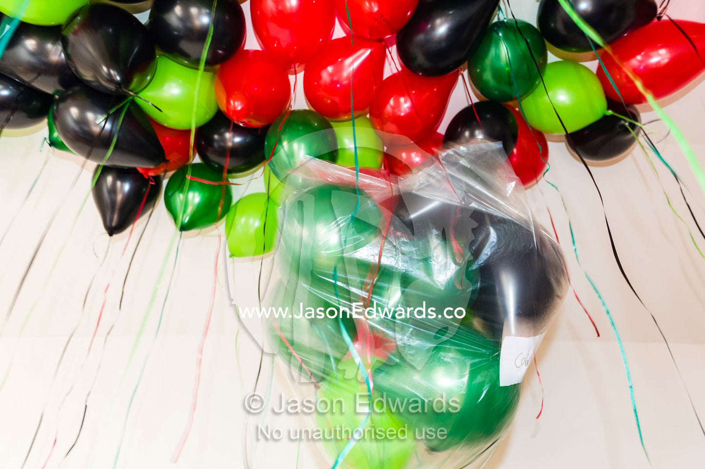 Opening a bag of party balloons to decorate a living room. Carlton North, Melbourne, Victoria, Australia.