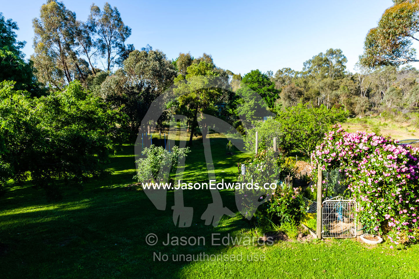 Fruit trees and a vegetable patch in a country garden. Castlemaine, Victoria, Australia.