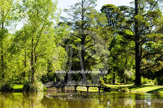 A foot bridge and lush lawns and trees reflected in a pond in an ornamental garden. Malmsbury, Victoria, Australia.