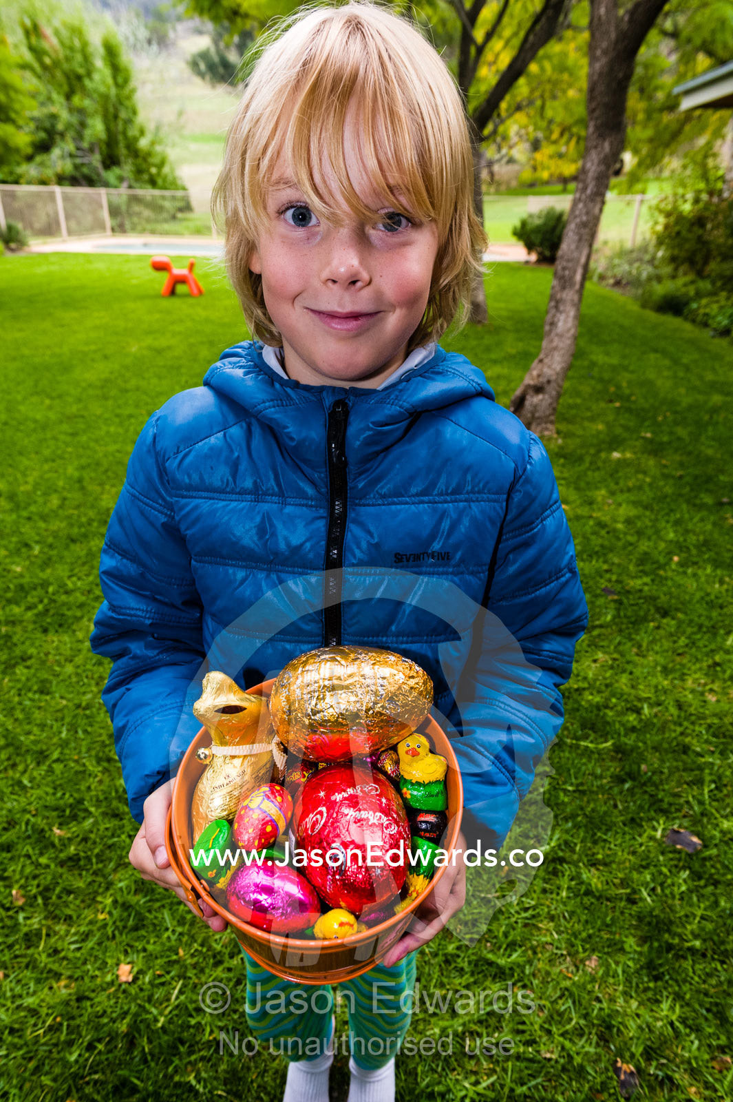 A boy displays his collection of colorful Easter eggs found during a hunt on a farm. Euroa, Strathbogie, Victoria, Australia.