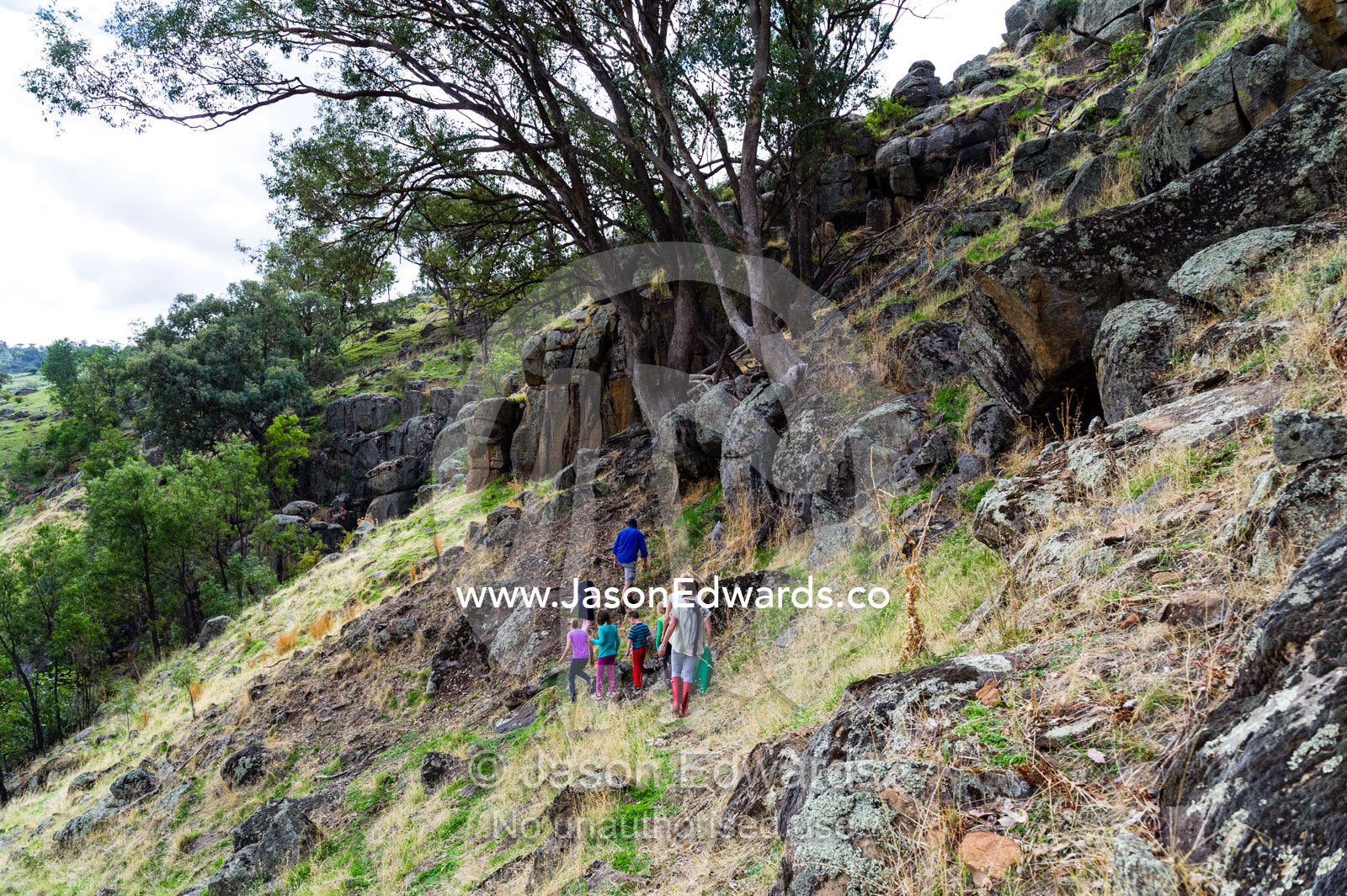 Multiple families go hiking along a mountainside on a farm. Euroa, Strathbogie, Victoria, Australia.