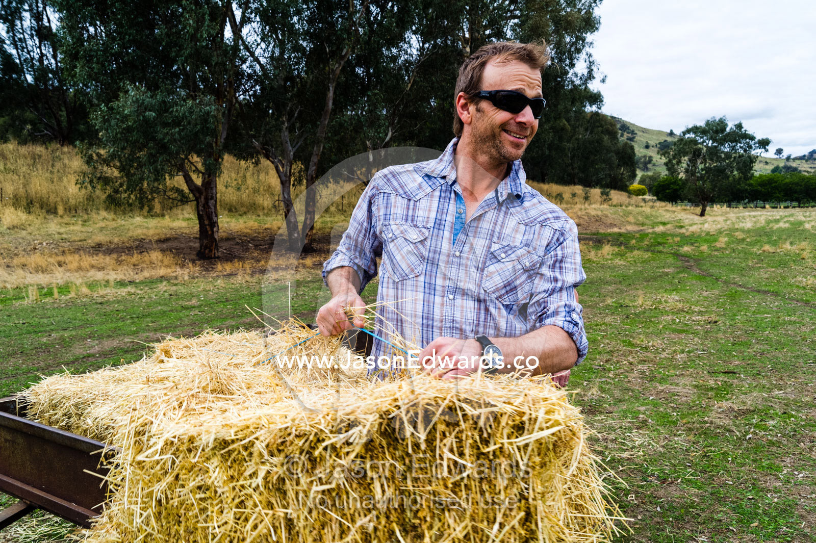 A man lifts a bail of hay from a trailer to feed the farms sheep. Euroa, Strathbogie, Victoria, Australia.