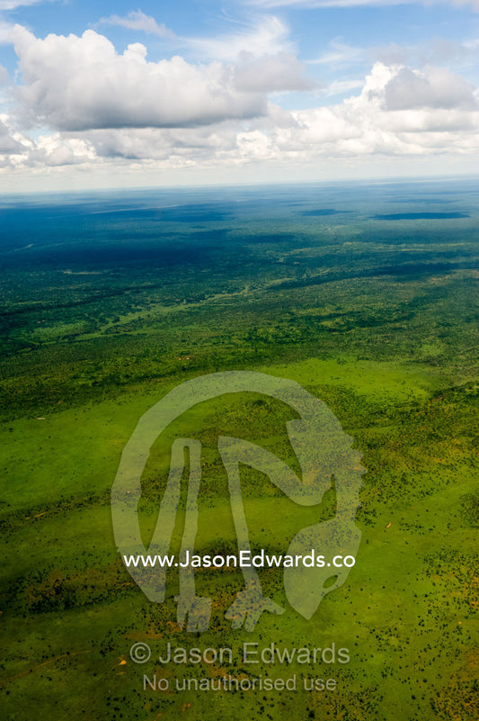 An aerial view of a lush savannah plain. Mosi-oa-Tunya National Park, Zambia. Zambia-Zimbabwe Border.