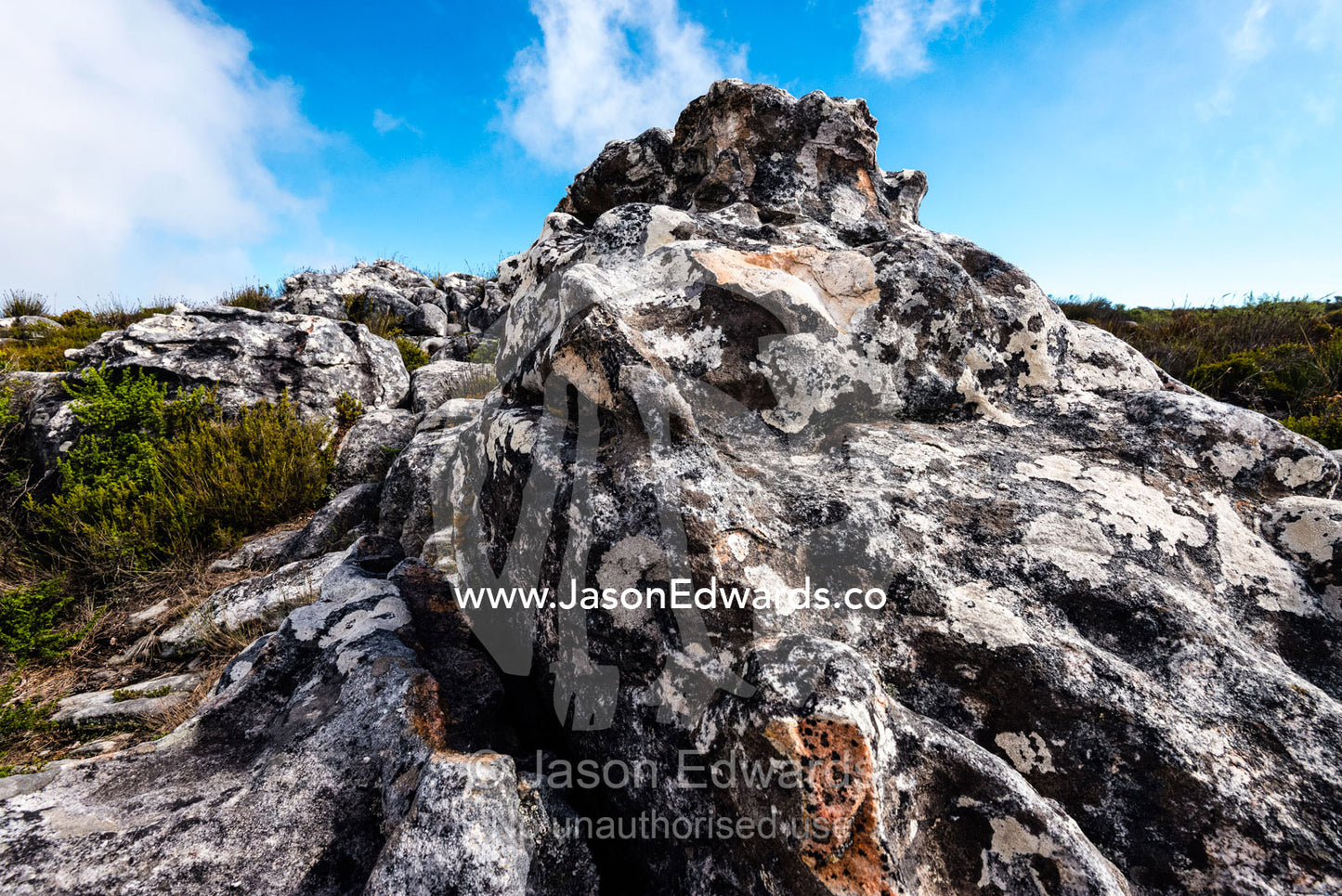 Lichen encrusted boulders on the summit of Table Mountain. Table Mountain, Cape Town, Western Cape, South Africa.