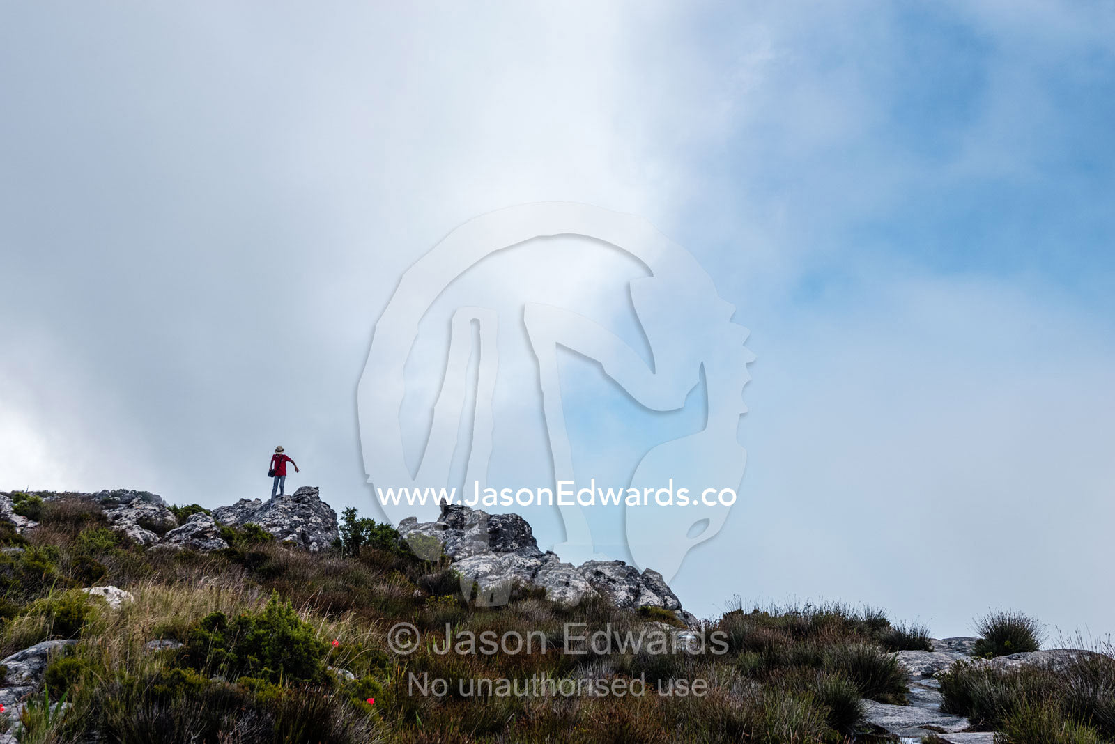 A hiker exploring the summit of Table Mountain. Table Mountain, Cape Town, Western Cape, South Africa.