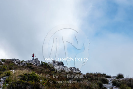 A hiker exploring the summit of Table Mountain. Table Mountain, Cape Town, Western Cape, South Africa.