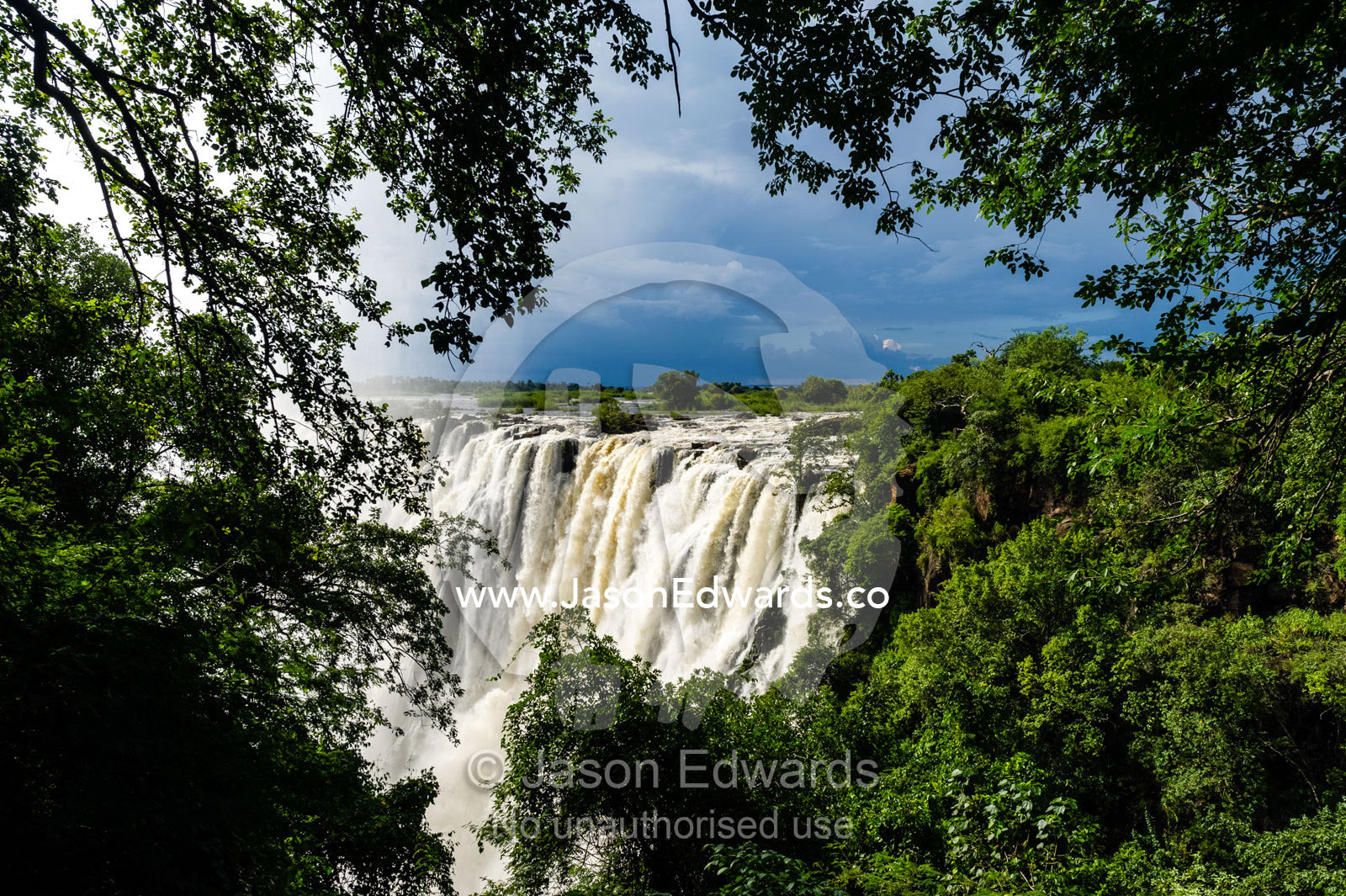 The view of Victoria Falls through a rainforest canopy as it plunges into the cataract. Zambezi River, Victoria Falls, Mosi-oa-Tunya National Park, Zambia.
