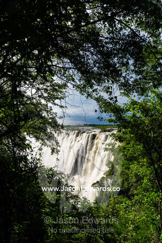 The view of Victoria Falls through a rainforest canopy as it plunges into the cataract. Zambezi River, Victoria Falls, Mosi-oa-Tunya National Park, Zambia.