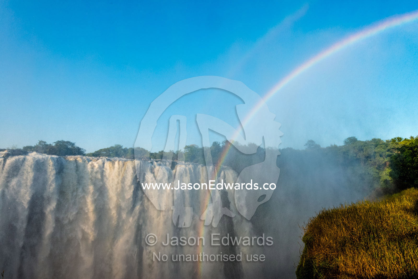 A rainbow rises from the depths of First Gorge through the Victoria Falls mist. Zambezi River, Victoria Falls, Mosi-oa-Tunya National Park, Zambia.