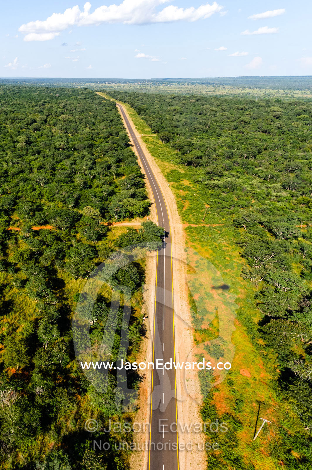 A long road passes along the border of a national park. Mosi-oa-Tunya National Park, Victoria Falls National Park, Zambia.