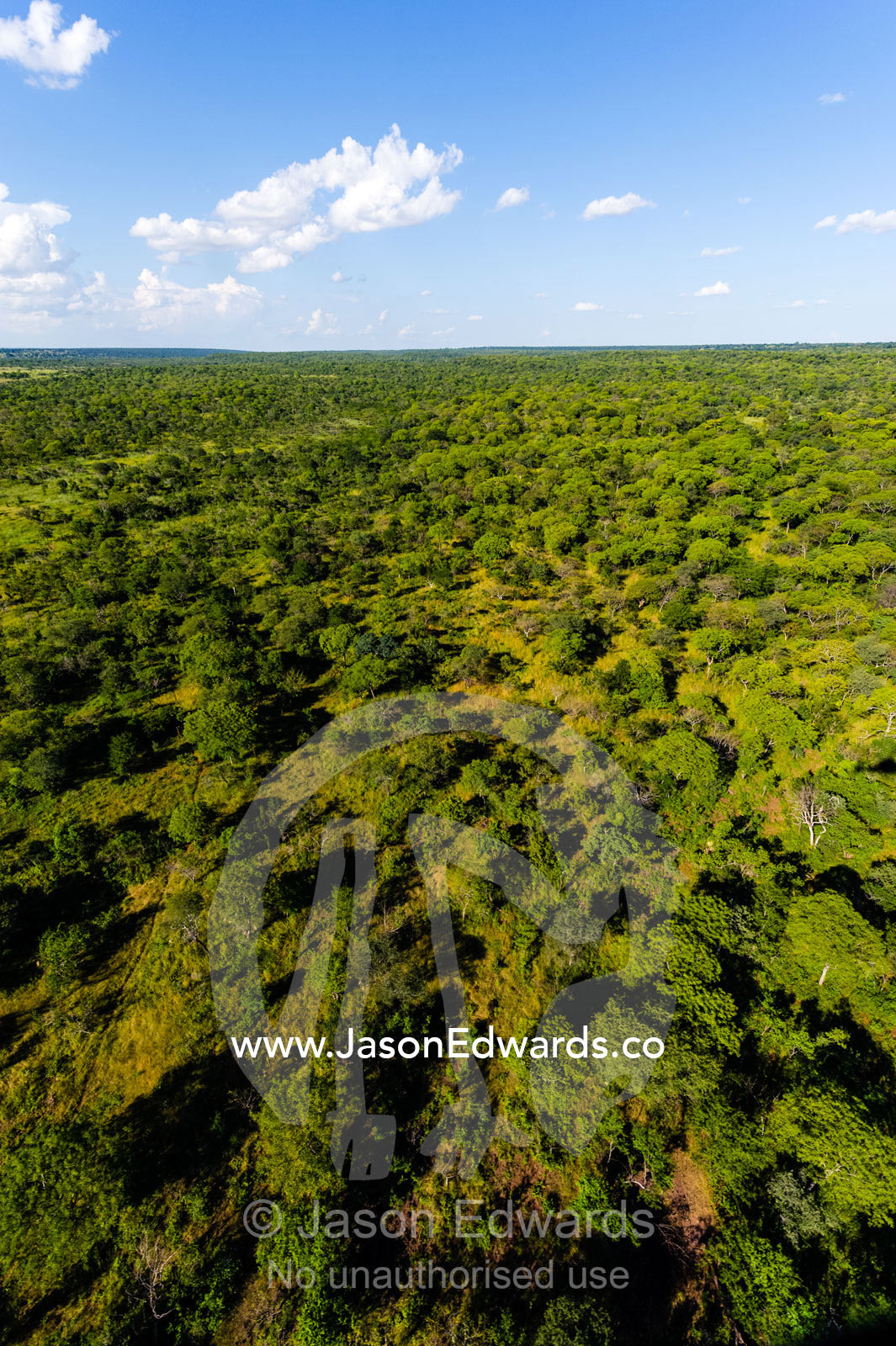 An aerial view of an open woodland and grassland on a vast plain. Mosi-oa-Tunya National Park, Victoria Falls National Park, Zambia.
