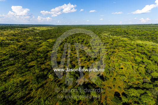 An aerial view of an open woodland and grassland on a vast plain. Mosi-oa-Tunya National Park, Victoria Falls National Park, Zambia.