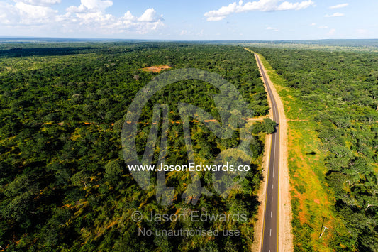 A long road passes along the border of a national park. Mosi-oa-Tunya National Park, Victoria Falls National Park, Zambia.