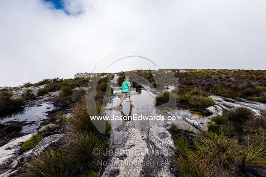 A boy leaps across pools of water captured in rock holes on the summit of Table Mountain. Table Mountain, Cape Town, Western Cape, South Africa.