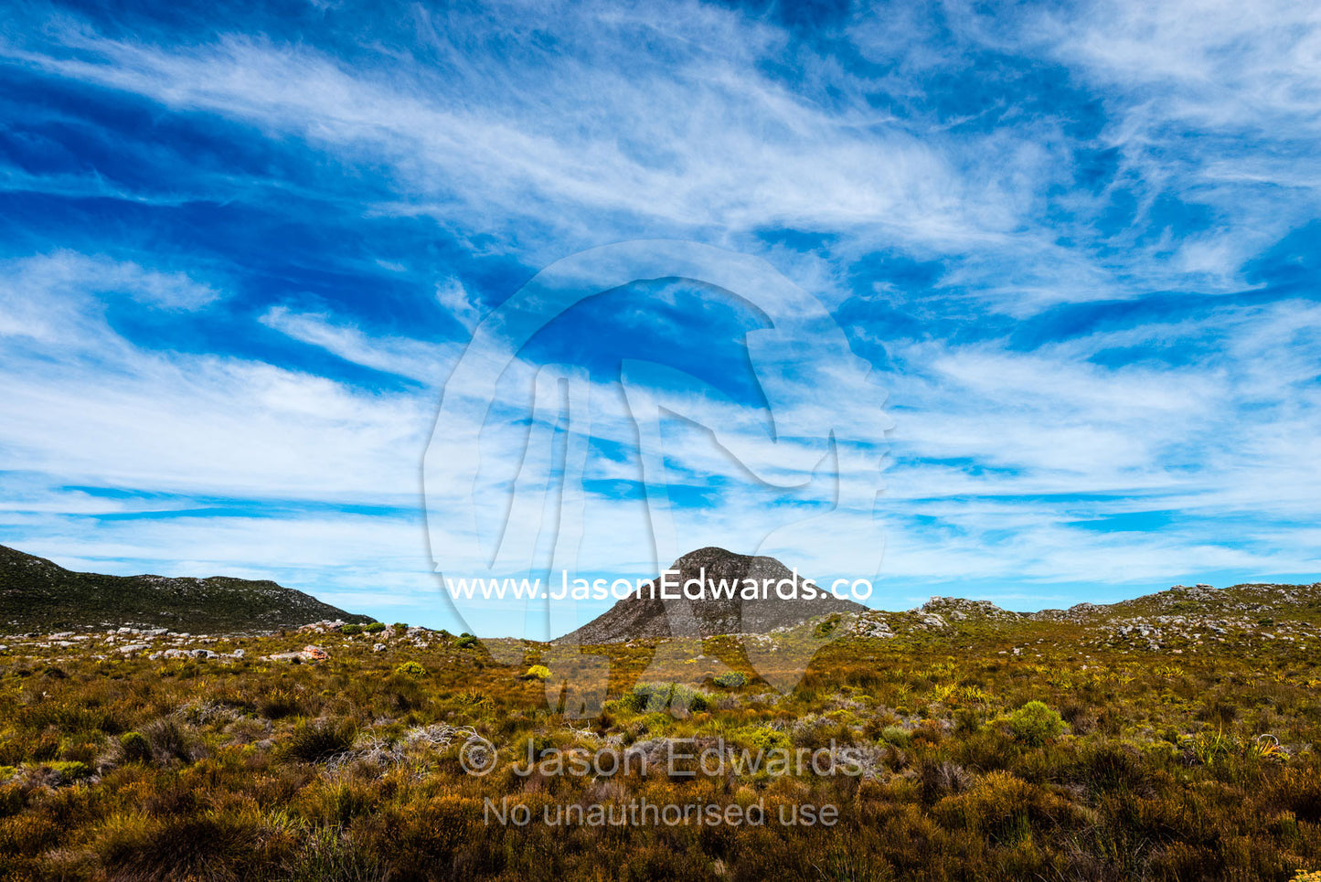 A fragile fynbos and restios plain beneath a front of wispy clouds. Cape of Good Hope, Cape Point, Table Mountain National Park, Cape Peninsula, South Africa.