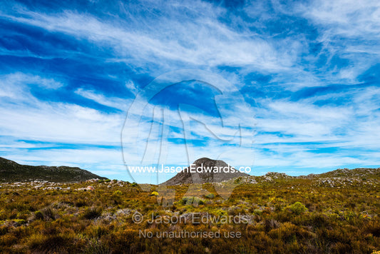 A fragile fynbos and restios plain beneath a front of wispy clouds. Cape of Good Hope, Cape Point, Table Mountain National Park, Cape Peninsula, South Africa.