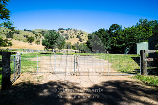 A gate separates paddocks on a farm. Euroa, Strathbogie, Victoria, Australia.