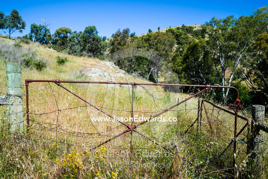 A rare antique Sunshine steel gate between farm paddocks. Euroa, Strathbogie, Victoria, Australia.