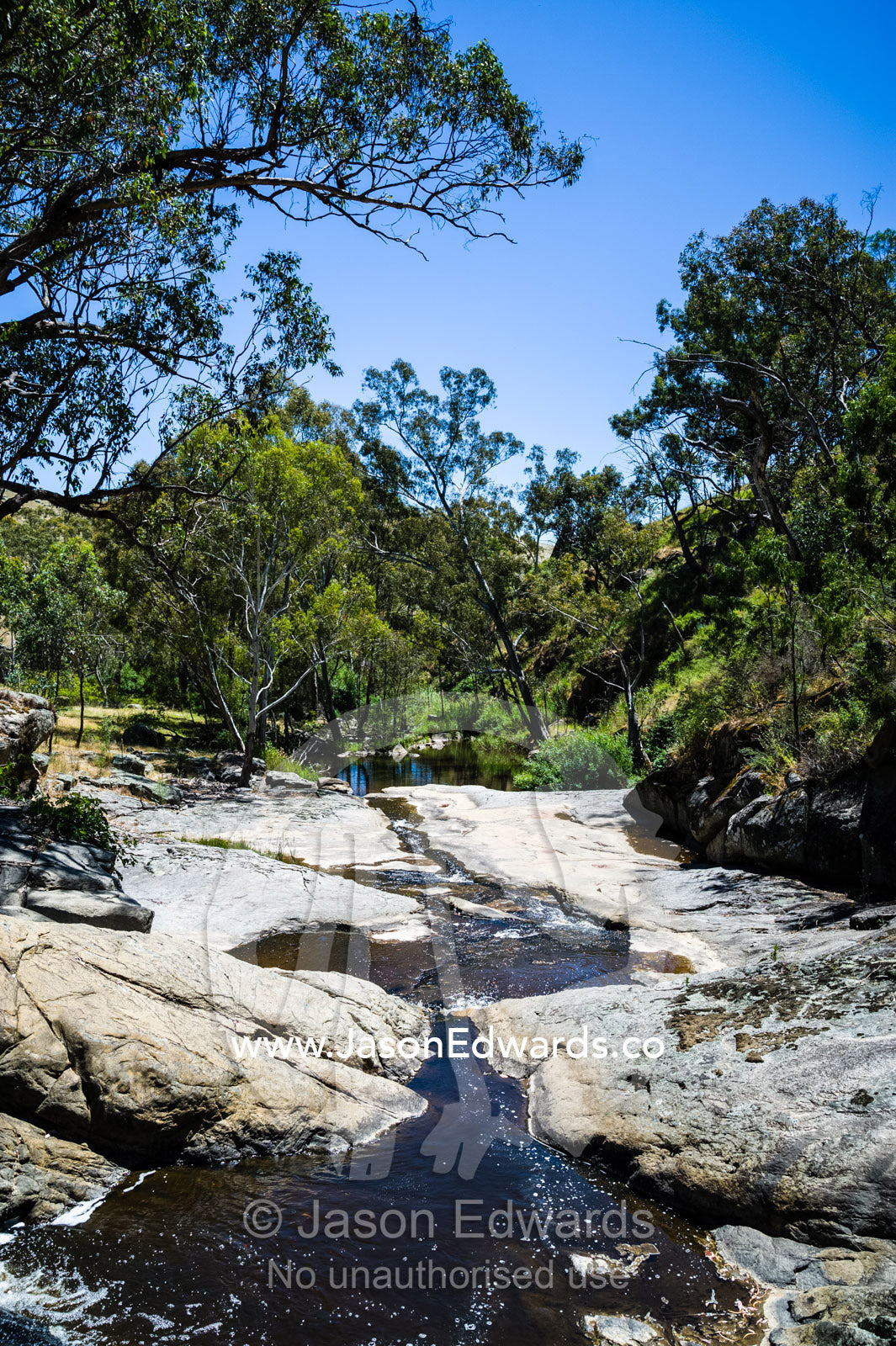 A stream flows through a forest into a small pool. Faithfuls Creek, Euroa, Strathbogie, Victoria, Australia.