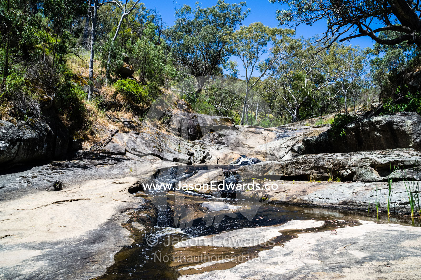 A stream flows through a forest into a small pool. Faithfuls Creek, Euroa, Strathbogie, Victoria, Australia.