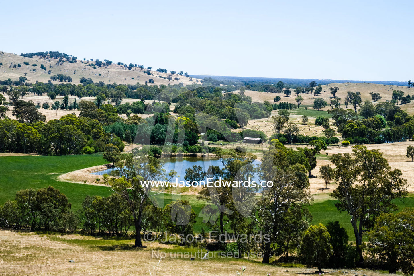 A farm dam surrounded by lush farmland and rolling hills. Euroa, Strathbogie, Victoria, Australia.