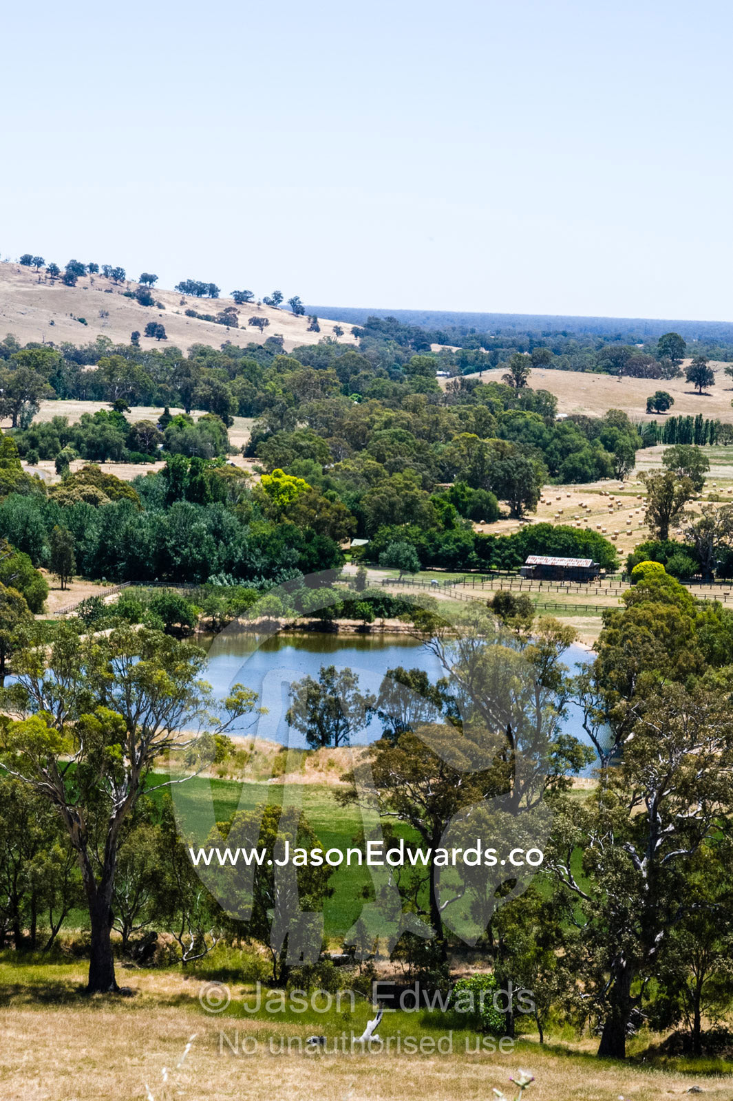 A farm dam surrounded by lush farmland and rolling hills. Euroa, Strathbogie, Victoria, Australia.