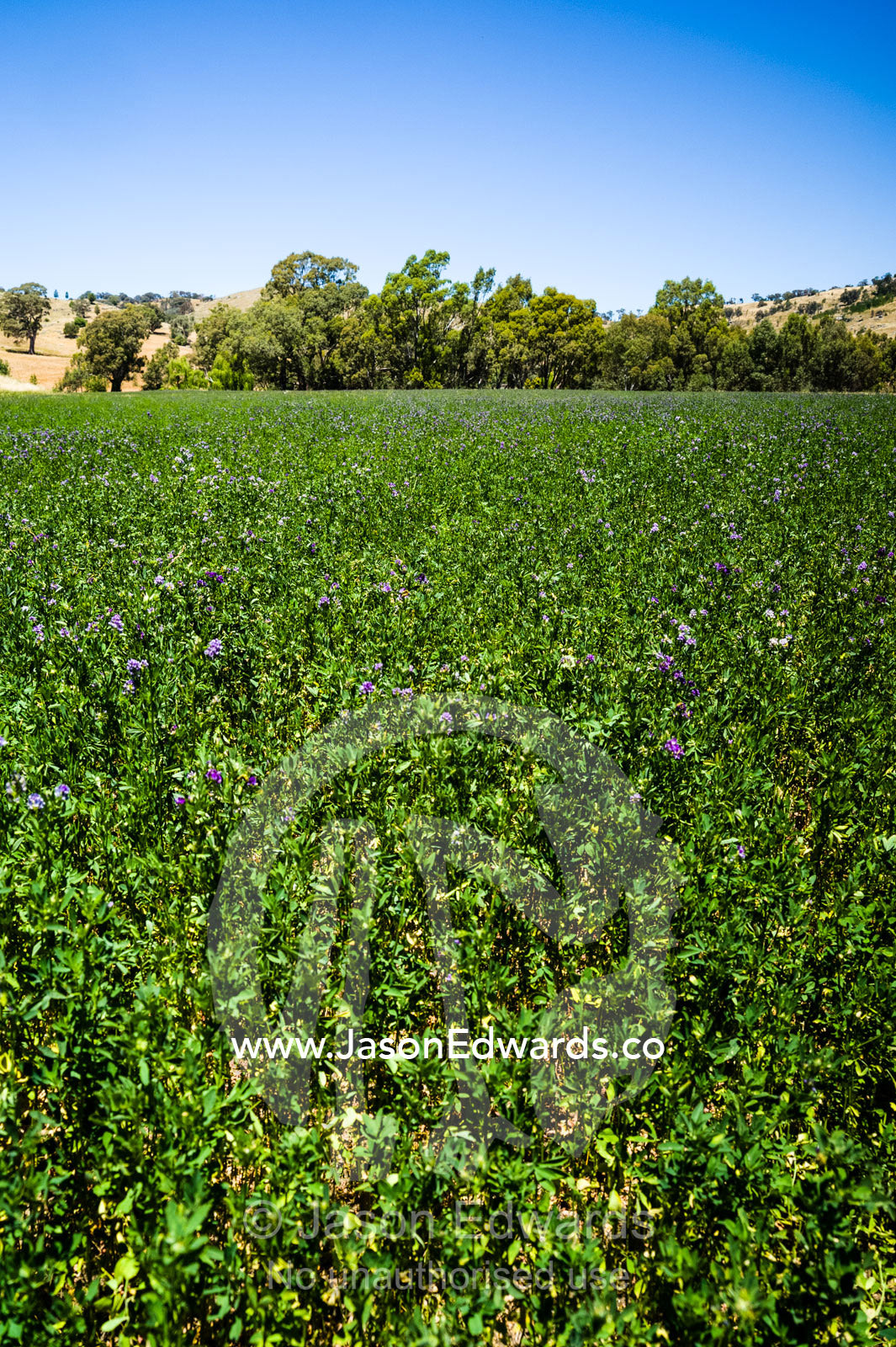 Euroa, Strathbogie, Victoria, Australia